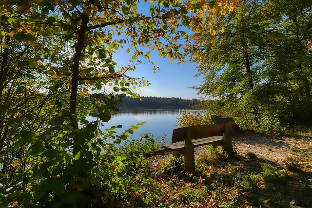 革方面取得 革方面取得