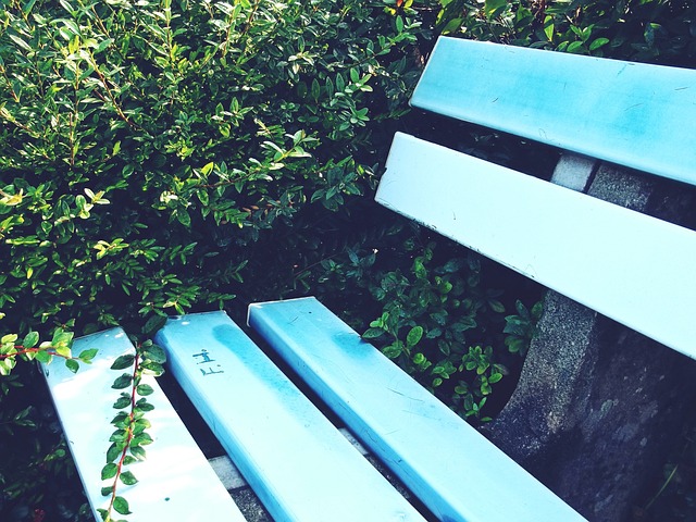 划一项长期 划一项长期