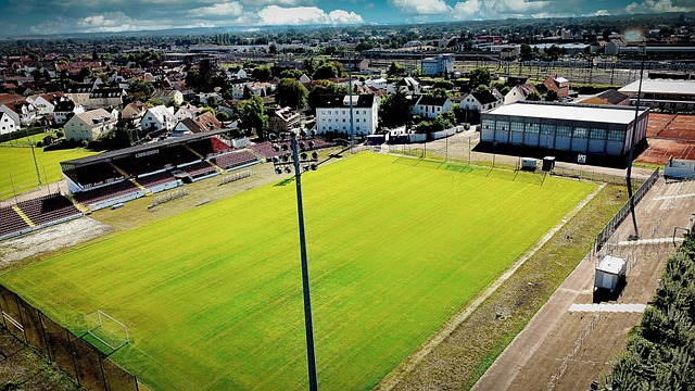 了个人能力 了个人能力