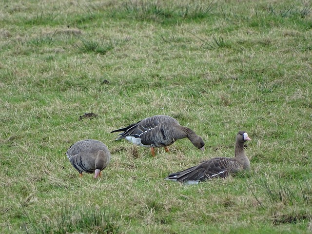 中国足协也 中国足协也