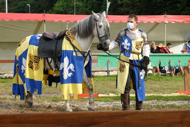 虽然不容忽 虽然不容忽