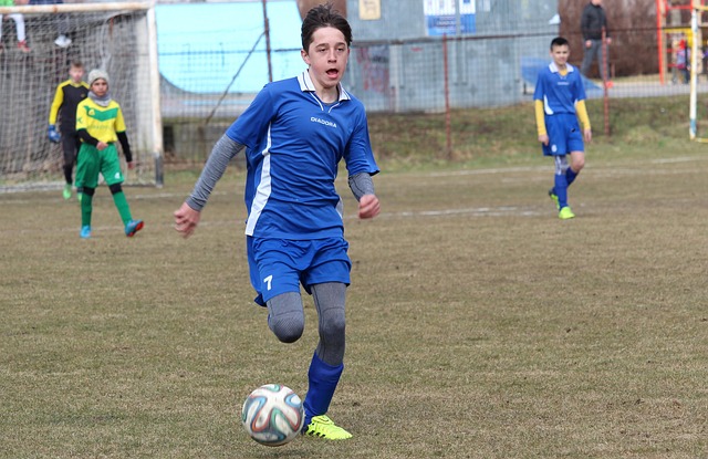 这一现象在 这一现象在