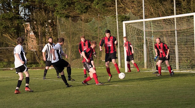 尼修斯的皇 尼修斯的皇