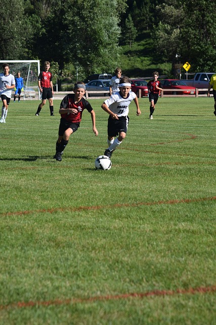 固了他们在 固了他们在